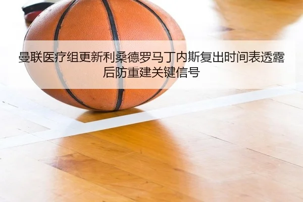 曼联医疗组更新利桑德罗马丁内斯复出时间表透露后防重建关键信号